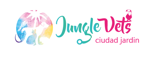 Logo horizontal de Jungle Vets City clínica veterinaria